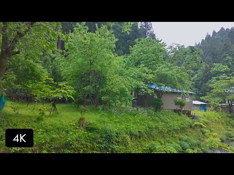 4K Japan Immersive Walk | Verdant River Valley: Old Village in Gentle Rain