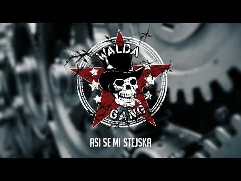 Walda Gang - Asi se mi stejska (Official Audio)