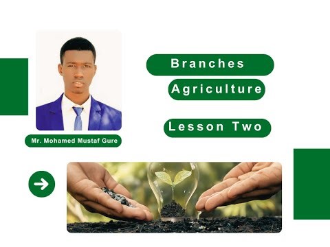 Branches Of Agriculture