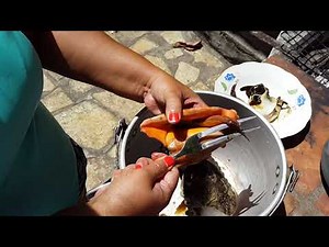 Ceviche de Caracol - Cambute !!