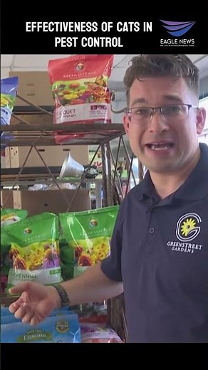 Effectiveness of Cats in Pest Control