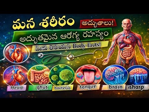 Health -Tips and Unknown Facts in Telugu 😲|How body works? in telugu |Explained unknown facts Learn|