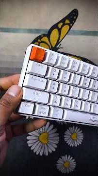 evofox katana s mini wireless keyboard