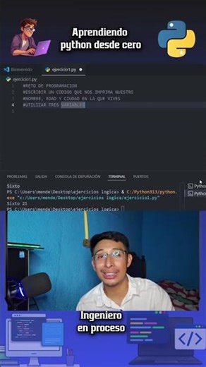 Te atreves a resolver este reto de programacion en Python