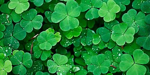 Can You Pass A Quiz On St. Patrick's Day?