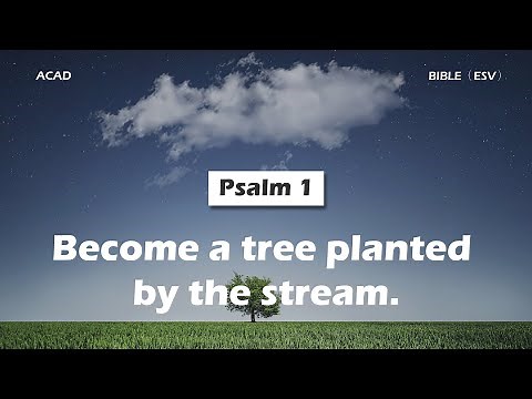 【 Psalm 1 】Become a tree planted by the stream. ｜ACAD Bible Reading