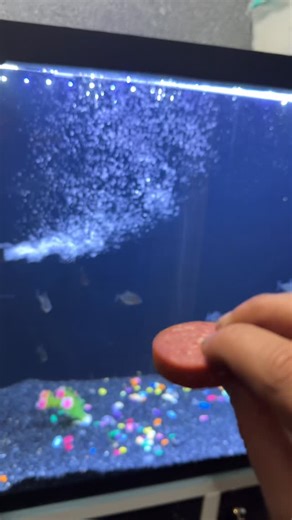 Valesco on Instagram