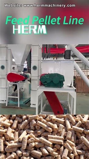 Build or Upgrade Your Feed Mill with This 3-4T/H Turnkey Line! #feedmill #feedpelletmills