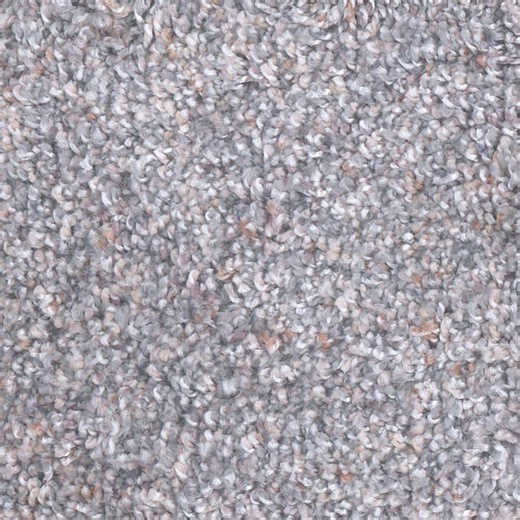 Reviews for Home Decorators Collection Archipelago II - Stingray - Gray 60 oz. SD Polyester Twist Carpet - Installation Required | Pg 1 - The Home Depot
