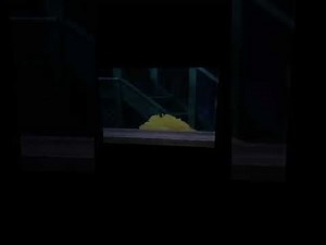 Sesame Street Episode 3374 Ending