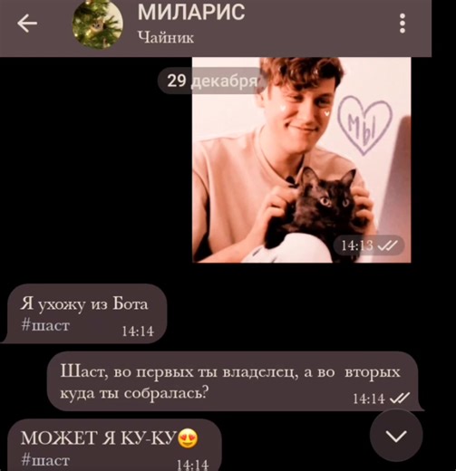 #ботподдержки #бот #тг #rec #миларис