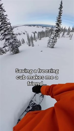 Snowboarding made a new buddy #wholesome #animals | animals