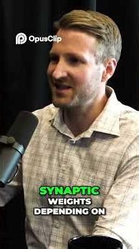 Synaptic Weights | The Key to Brain Memory Explained