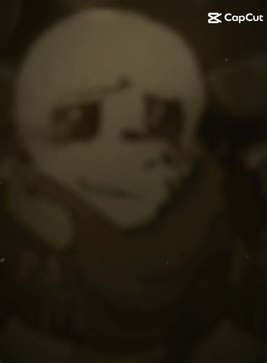 lnk sans