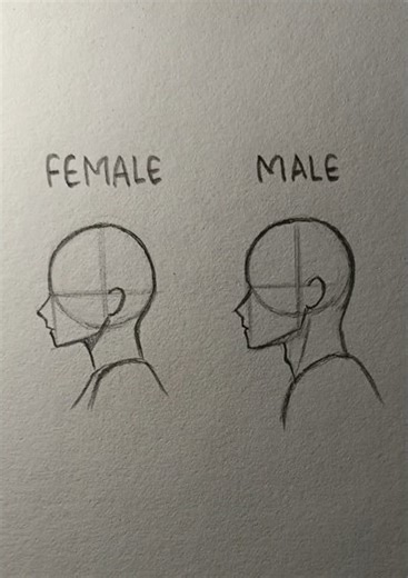 Drawing side head Female&Male tutorial✨ #drawing #tutorial #howtodraw #head #art | My Sketch