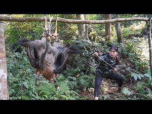 Survival Skills: Building a Natural Trap to Capture Wild Forest Chickens, survival alone
