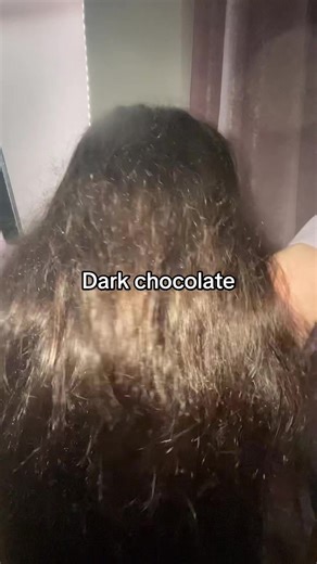 Exploring Different Types of Chocolate Delights