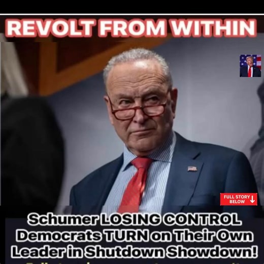 1K views · 35 reactions | BREAKING / CHUCK SCHUMER CALLS FOR “FORCEFUL UPRISING” AGAINST TRUMP ADMINISTRATION . See more  https://scoopriot.com/breaking-chuck-schumer-calls-for-forceful-uprising-against-trump-administration/ | America Breaking Point | Facebook