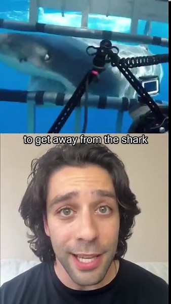 Survive a shark attack with these expert tips