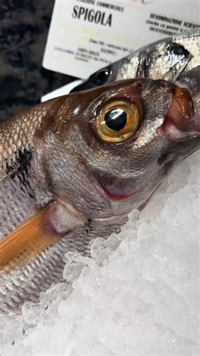 Transform Simple Fish into Unique Tartare