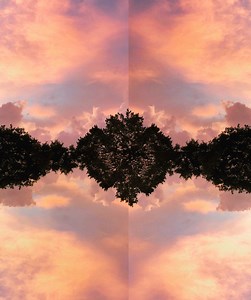 The K. (BE) Concert & Tour History  | Concert Archives