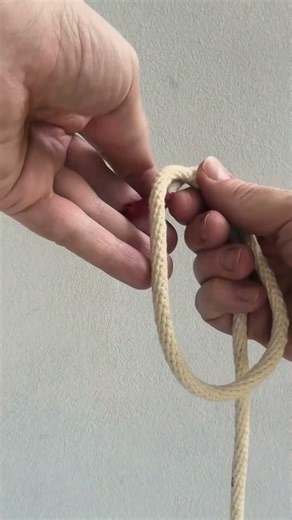 The Overhand knot
