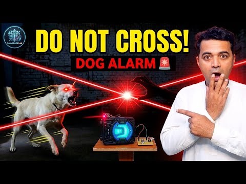 DIY Laser Security Alarm with Dog Sound 🐕 | LDR Smart Switch Real Test