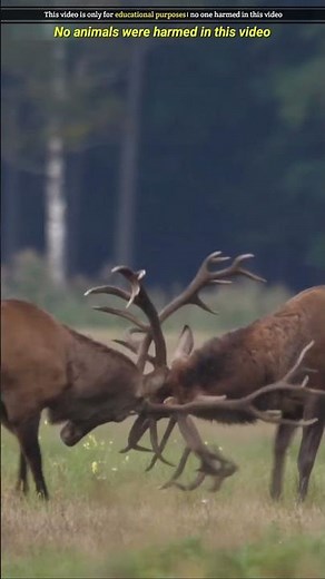 हमेशा इनकी मदद करना