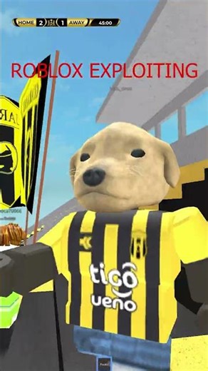 Pootis #roblox #robloxexploiting