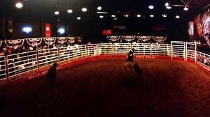 30 reactions | Billy Bob's Texas on Reels | Facebook