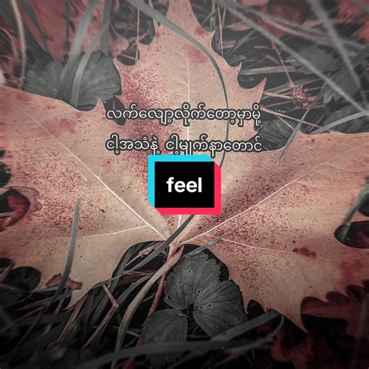 Feel the Beat of TikTok Myanmar