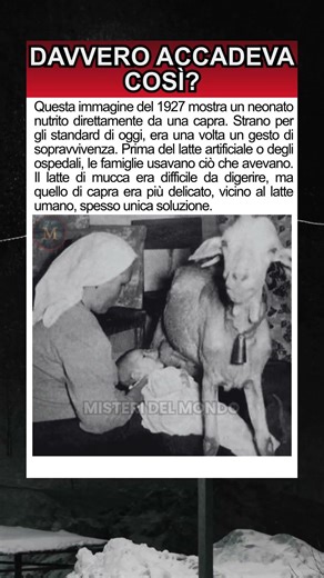 Quando una capra salvava un neonato