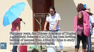 288K views · 811 reactions | Diakabana Ngoma Andre, a farmer from the Republic of Congo, owes his thanks to the Chinese melons expert as he managed to buy his first TV after he harvested watermelons with the knowledge he learned from his Chinese teacher | China Xinhua News | Facebook