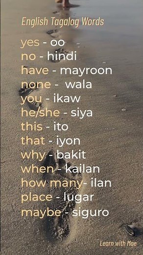 Basic English to Tagalog Words for Beginners | Easy Filipino Vocabulary #Shorts #philippineslanguage