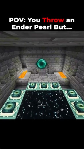 POV You Throw an Ender Pearl But in The END