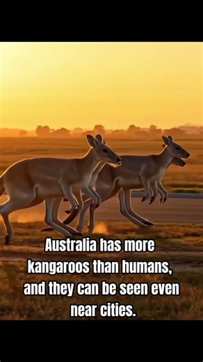 🔥 5 Shocking Australia Facts You Didn’t Know 🤯 | Crazy True Facts 🇦🇺