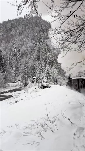 Romania on Instagram: "Do you love trains and winter? This narrow-gauge relic, the Mocănița, cuts through northern Romania like a slow-burning memory, breathing steam into frozen valleys and stitching together forests, villages, and silence. In winter it feels less like transport and more like time travel, a stubborn old machine refusing to die quietly while snow loads the pines and the world remembers how to slow down. Built mostly for logging in the late 19th and early 20th centuries, the Mocă