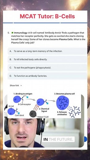 How Plasma Cells Actually Work #MCAT #immunology