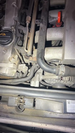 This key identifies as a 10mm 🤦‍♂️