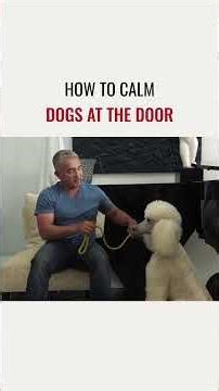 How to Calm Dogs at the Door