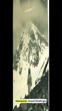Yeti: The Himalayan Monster That Still Haunts Explorers! 😱👣❄️ | Real or Just a Legend?