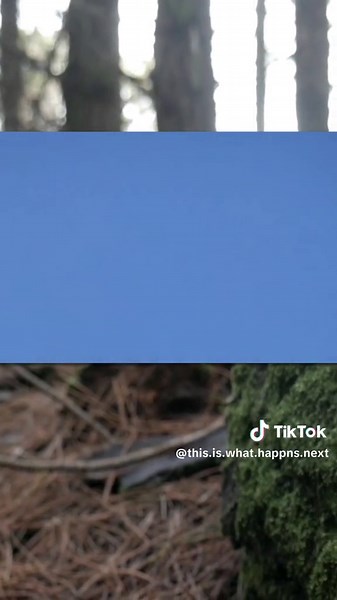 Giant Angel Sighting in Texas?