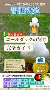 [First Publication] Everything You Need to Know About Raising Call Ducks! [The Ultimate Care Guid...