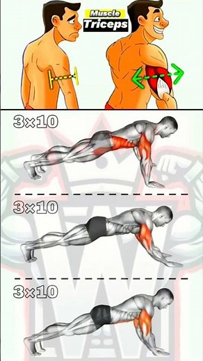 3 Best Bodyweight Triceps Exercises for Bigger Arms (No Equipment Needed!)#tricepsworkout #fitness