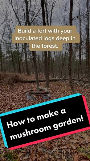 Inoculating Willow & Oak Logs for Mushroom Garden | North Spore Spawn Plugs