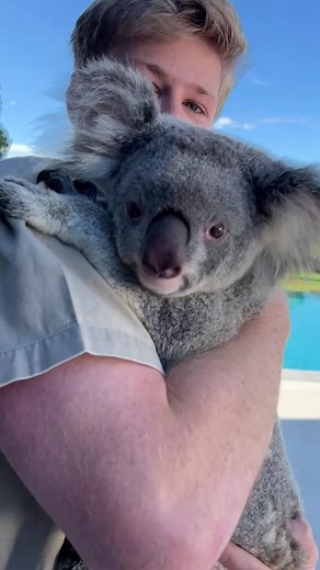 The wildlife of the Crocodile Hunter Lodge.