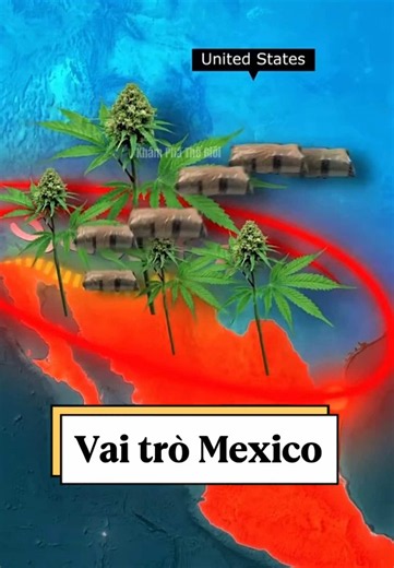 Tại sao Mexico lại là trung tâm của việc buôn bán bột mì toàn cầu? #kienthucthuvi #khamphathegioi #viral #fyp