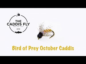 Bird of Prey October Caddis Fly Tying