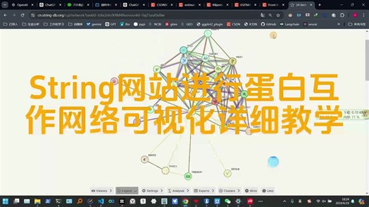 String网站进行蛋白互作网络可视化详细教学