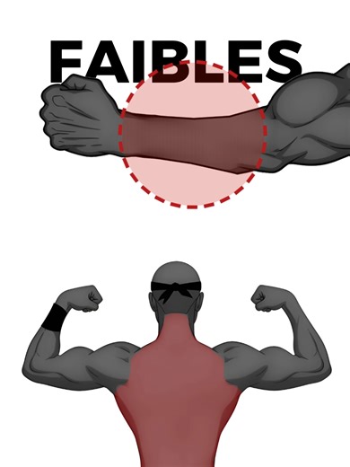 Titre Yt : Les 3 Seuls Exercices dont vos avant-bras ont besoin (Au poids du corps...) #avantbras #exercice #callisthénie #calisthenics #streetworkout #musculation #muscu #pourtoi